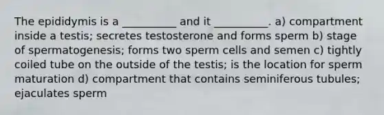 The epididymis is a __________ and it __________. a) compartment inside a testis; secretes testosterone and forms sperm b) stage of spermatogenesis; forms two sperm cells and semen c) tightly coiled tube on the outside of the testis; is the location for sperm maturation d) compartment that contains seminiferous tubules; ejaculates sperm