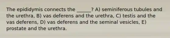 The epididymis connects the ______? A) seminiferous tubules and the urethra, B) vas deferens and the urethra, C) testis and the vas deferens, D) vas deferens and the seminal vesicles, E) prostate and the urethra.