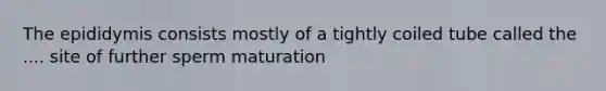 The epididymis consists mostly of a tightly coiled tube called the .... site of further sperm maturation