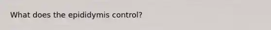 What does the epididymis control?