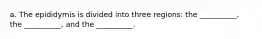 a. The epididymis is divided into three regions: the __________, the __________, and the __________.