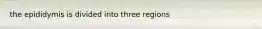 the epididymis is divided into three regions