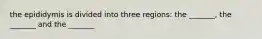 the epididymis is divided into three regions: the _______, the _______ and the _______