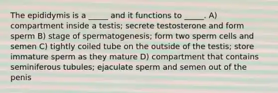 The epididymis is a _____ and it functions to _____. A) compartment inside a testis; secrete testosterone and form sperm B) stage of spermatogenesis; form two sperm cells and semen C) tightly coiled tube on the outside of the testis; store immature sperm as they mature D) compartment that contains seminiferous tubules; ejaculate sperm and semen out of the penis