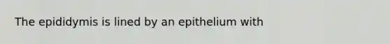 The epididymis is lined by an epithelium with