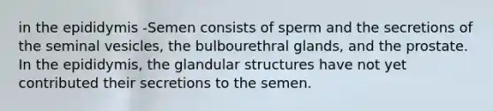 in the epididymis -Semen consists of sperm and the secretions of the seminal vesicles, the bulbourethral glands, and the prostate. In the epididymis, the glandular structures have not yet contributed their secretions to the semen.