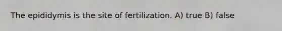 The epididymis is the site of fertilization. A) true B) false