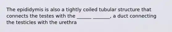 The epididymis is also a tightly coiled tubular structure that connects the testes with the ______ _______, a duct connecting the testicles with the urethra