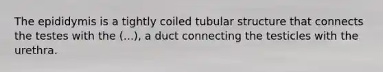 The epididymis is a tightly coiled tubular structure that connects the testes with the (...), a duct connecting the testicles with the urethra.