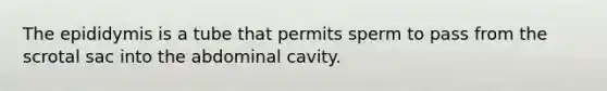 The epididymis is a tube that permits sperm to pass from the scrotal sac into the abdominal cavity.