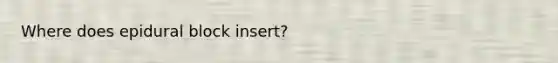 Where does epidural block insert?