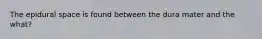 The epidural space is found between the dura mater and the what?