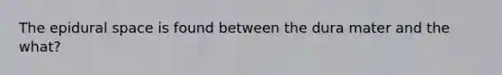 The epidural space is found between the dura mater and the what?