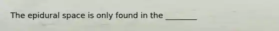 The epidural space is only found in the ________