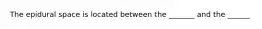 The epidural space is located between the _______ and the ______
