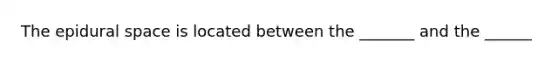 The epidural space is located between the _______ and the ______