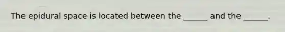 The epidural space is located between the ______ and the ______.