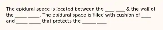 The epidural space is located between the ____ ____ & the wall of the _____ _____. The epidural space is filled with cushion of ____ and _____ _____ that protects the ______ ____.