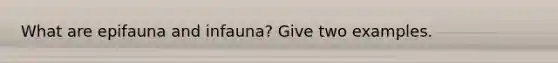What are epifauna and infauna? Give two examples.