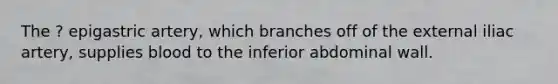 The ? epigastric artery, which branches off of the external iliac artery, supplies blood to the inferior abdominal wall.
