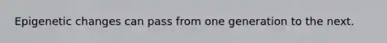 Epigenetic changes can pass from one generation to the next.