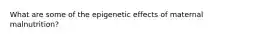 What are some of the epigenetic effects of maternal malnutrition?