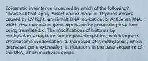 Epigenetic inheritance is caused by which of the following? Choose all that apply. Select one or more: a. Thymine dimers caused by UV light, which halt DNA replication. b. Antisense RNA, which down-regulates gene expression by preventing RNA from being translated. c. The modifications of histones by methylation, acetylation and/or phosphorylation, which impacts chromosome condensation. d. Increased DNA methylation, which decreases gene expression. e. Mutations in the base sequence of the DNA, which inactivate genes.