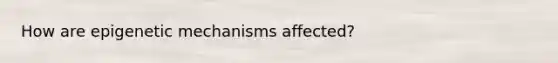 How are epigenetic mechanisms affected?