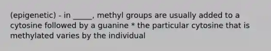 (epigenetic) - in _____, methyl groups are usually added to a cytosine followed by a guanine * the particular cytosine that is methylated varies by the individual