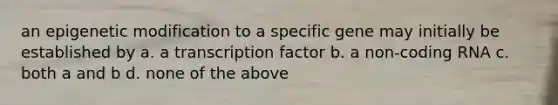 an epigenetic modification to a specific gene may initially be established by a. a transcription factor b. a non-coding RNA c. both a and b d. none of the above