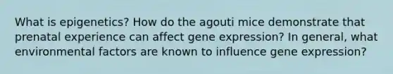 What is epigenetics? How do the agouti mice demonstrate that prenatal experience can affect gene expression? In general, what environmental factors are known to influence gene expression?