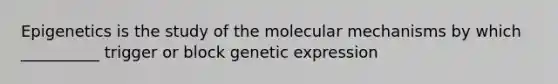 Epigenetics is the study of the molecular mechanisms by which __________ trigger or block genetic expression