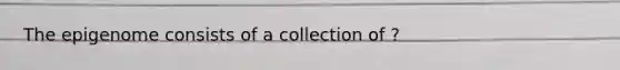 The epigenome consists of a collection of ?