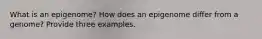 What is an epigenome? How does an epigenome differ from a genome? Provide three examples.