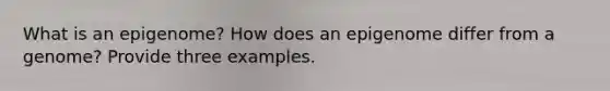 What is an epigenome? How does an epigenome differ from a genome? Provide three examples.