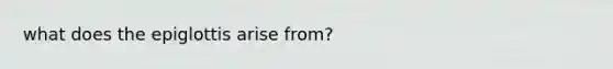 what does the epiglottis arise from?