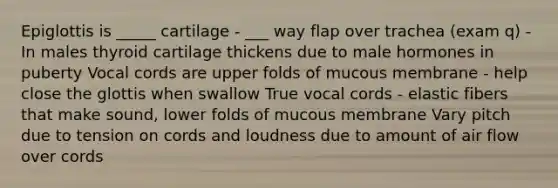 Epiglottis is _____ cartilage - ___ way flap over trachea (exam q) -In males thyroid cartilage thickens due to male hormones in puberty Vocal cords are upper folds of mucous membrane - help close the glottis when swallow True vocal cords - elastic fibers that make sound, lower folds of mucous membrane Vary pitch due to tension on cords and loudness due to amount of air flow over cords