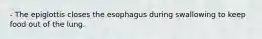 - The epiglottis closes the esophagus during swallowing to keep food out of the lung.