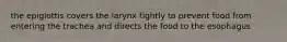 the epiglottis covers the larynx tightly to prevent food from entering the trachea and directs the food to the esophagus