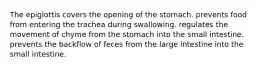 The epiglottis covers the opening of the stomach. prevents food from entering the trachea during swallowing. regulates the movement of chyme from the stomach into the small intestine. prevents the backflow of feces from the large intestine into the small intestine.