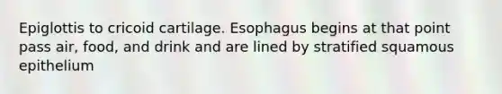 Epiglottis to cricoid cartilage. Esophagus begins at that point pass air, food, and drink and are lined by stratified squamous epithelium