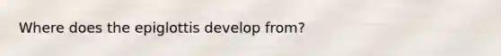 Where does the epiglottis develop from?