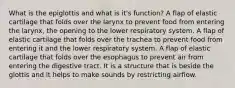 What is the epiglottis and what is it's function? A flap of elastic cartilage that folds over the larynx to prevent food from entering the larynx, the opening to the lower respiratory system. A flap of elastic cartilage that folds over the trachea to prevent food from entering it and the lower respiratory system. A flap of elastic cartilage that folds over the esophagus to prevent air from entering the digestive tract. It is a structure that is beside the glottis and it helps to make sounds by restricting airflow.