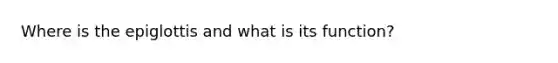 Where is the epiglottis and what is its function?