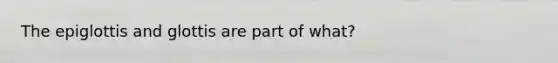 The epiglottis and glottis are part of what?