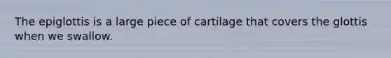 The epiglottis is a large piece of cartilage that covers the glottis when we swallow.​