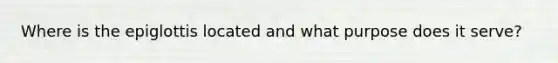 Where is the epiglottis located and what purpose does it serve?