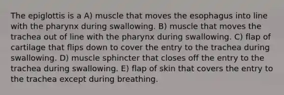 The epiglottis is a A) muscle that moves the esophagus into line with the pharynx during swallowing. B) muscle that moves the trachea out of line with the pharynx during swallowing. C) flap of cartilage that flips down to cover the entry to the trachea during swallowing. D) muscle sphincter that closes off the entry to the trachea during swallowing. E) flap of skin that covers the entry to the trachea except during breathing.