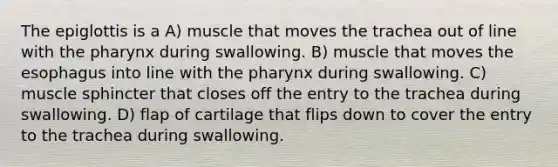 The epiglottis is a A) muscle that moves the trachea out of line with <a href='https://www.questionai.com/knowledge/ktW97n6hGJ-the-pharynx' class='anchor-knowledge'>the pharynx</a> during swallowing. B) muscle that moves <a href='https://www.questionai.com/knowledge/kSjVhaa9qF-the-esophagus' class='anchor-knowledge'>the esophagus</a> into line with the pharynx during swallowing. C) muscle sphincter that closes off the entry to the trachea during swallowing. D) flap of cartilage that flips down to cover the entry to the trachea during swallowing.