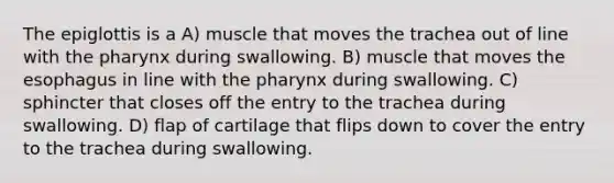 The epiglottis is a A) muscle that moves the trachea out of line with the pharynx during swallowing. B) muscle that moves the esophagus in line with the pharynx during swallowing. C) sphincter that closes off the entry to the trachea during swallowing. D) flap of cartilage that flips down to cover the entry to the trachea during swallowing.